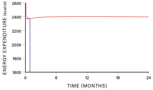 Metabolic rate dropping from 2600 to 2400 kcal per day in response to fat loss
